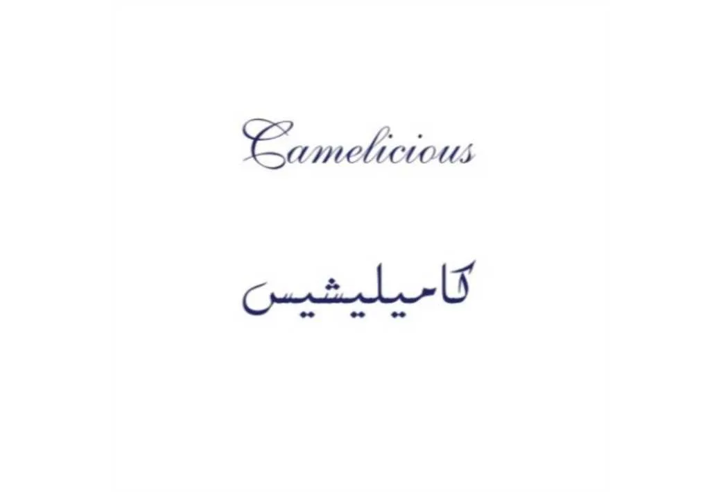Camelicious کامیلیشیس