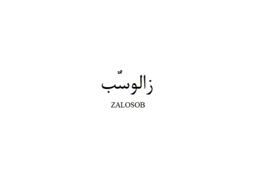 ZALOSOB زالوسٌب