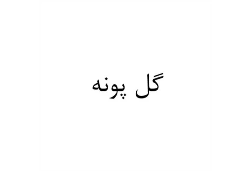 گل پونه