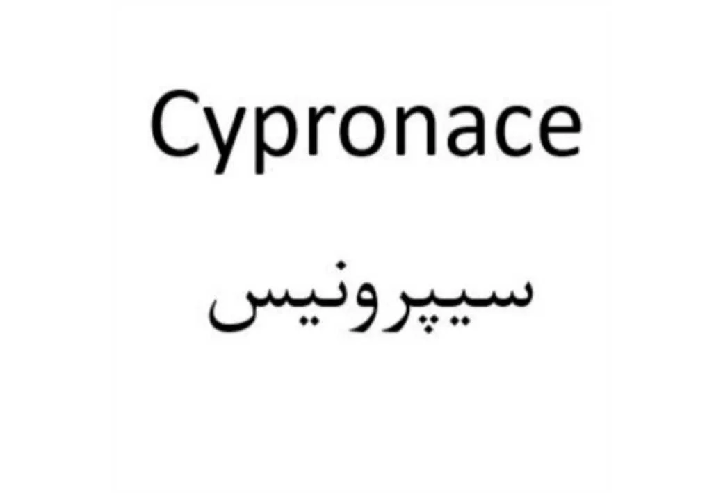 Cypronace سیپرونیس