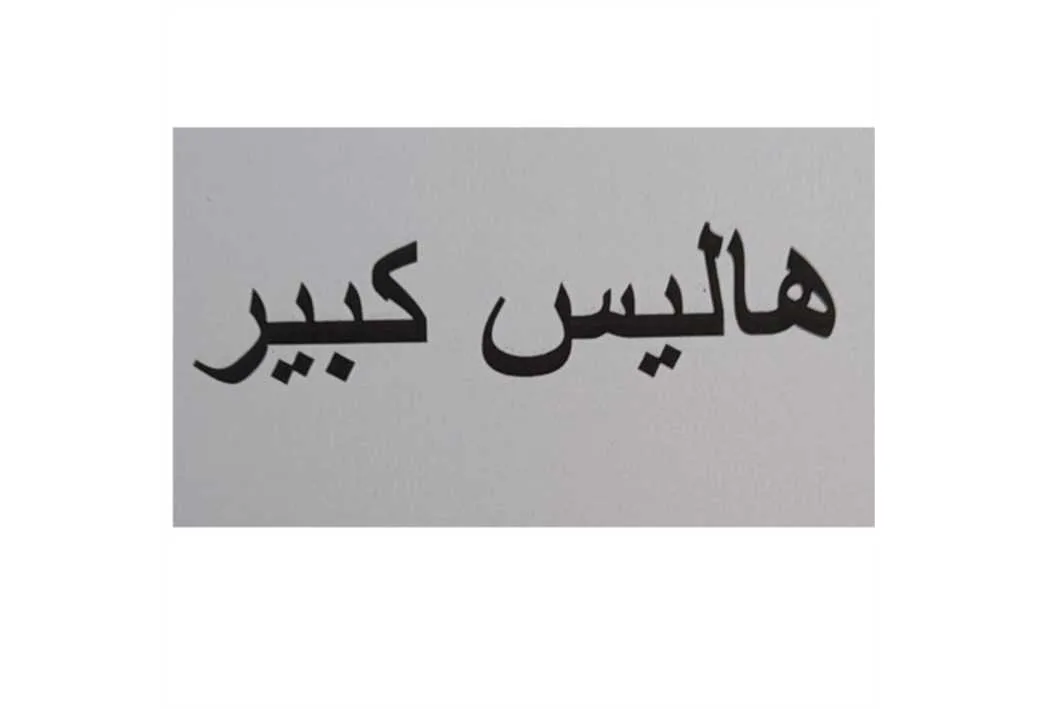 هالیس کبیر