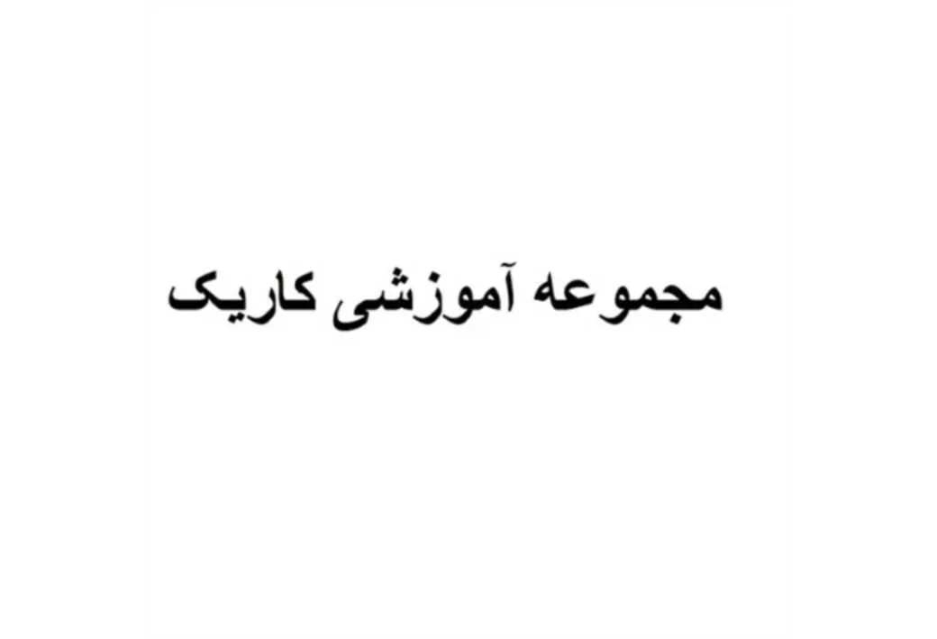 مجموعه آموزشی کاریک