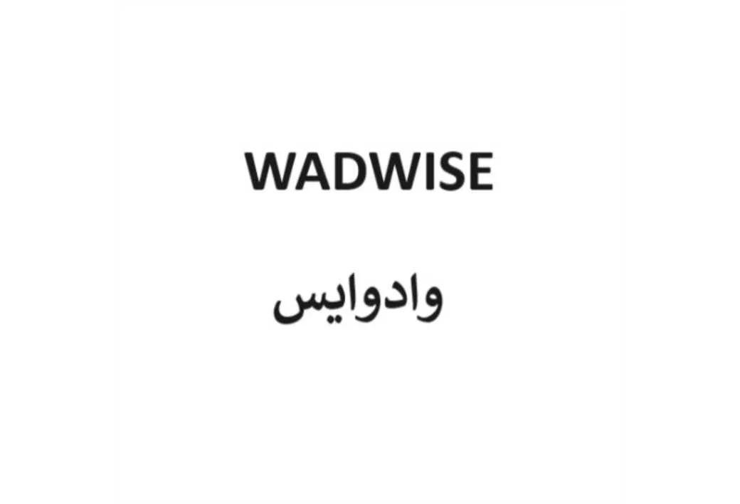 WADWISE وادوایس