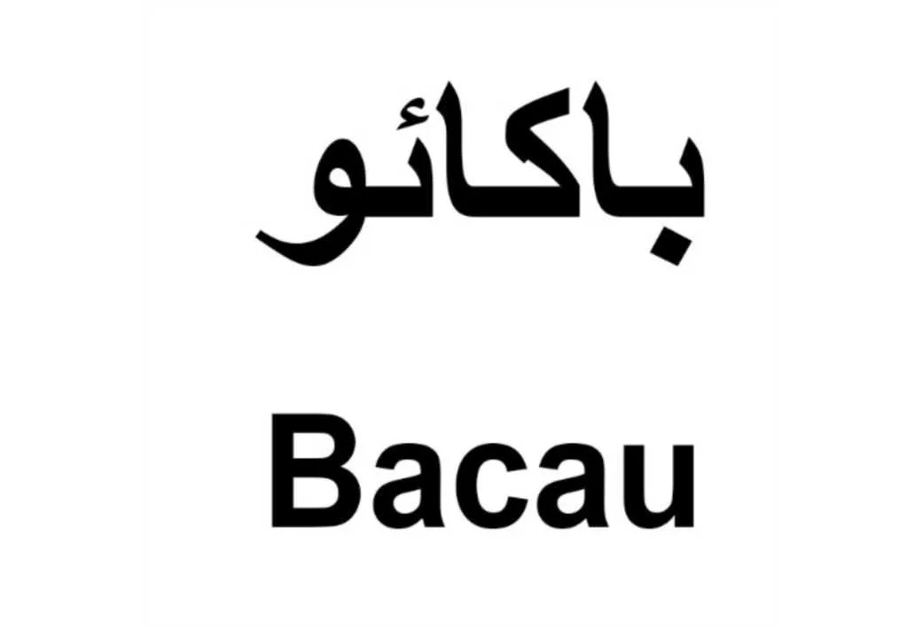 باکائو bacau