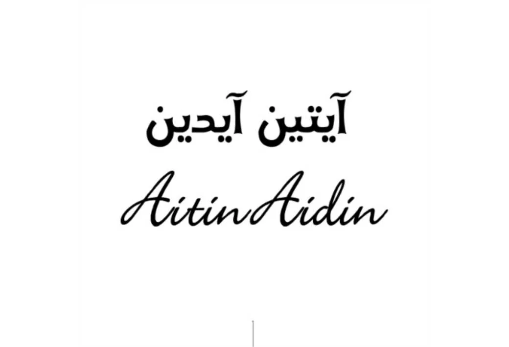 آیتین آیدین AitinAidin