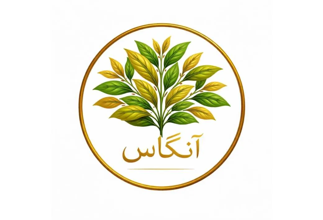 آنگاس
