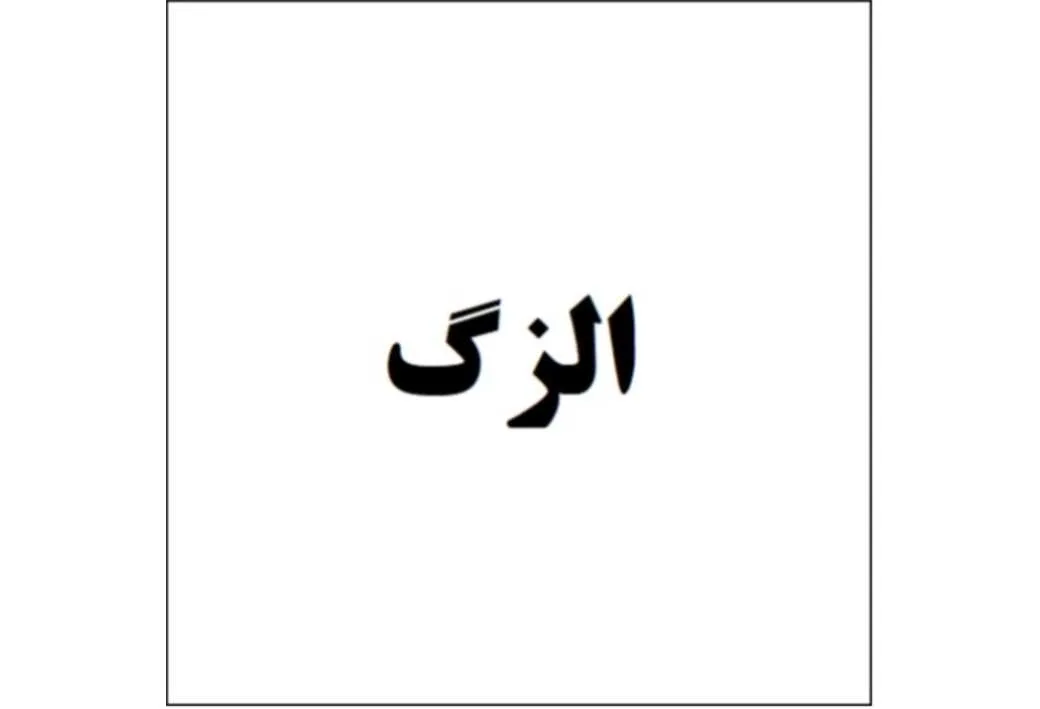 الزگ