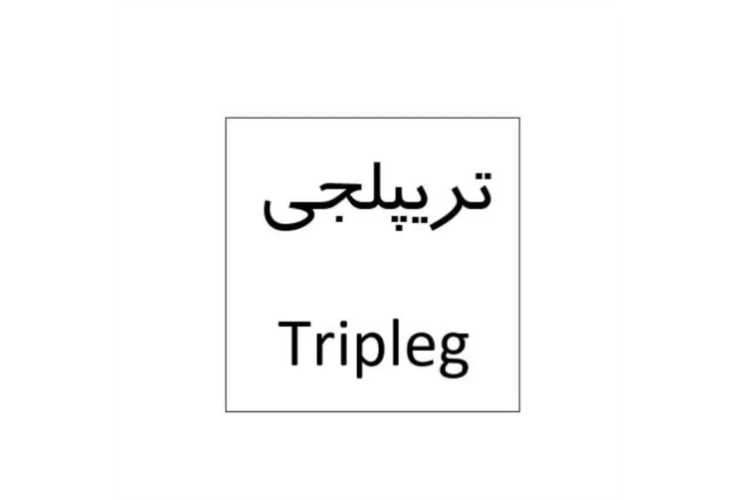 تریپلجی Tripleg