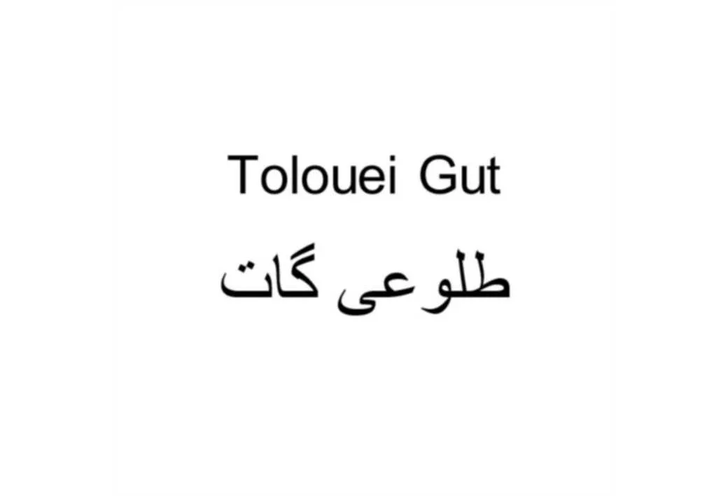 طلوعی گات Tolouei Gut