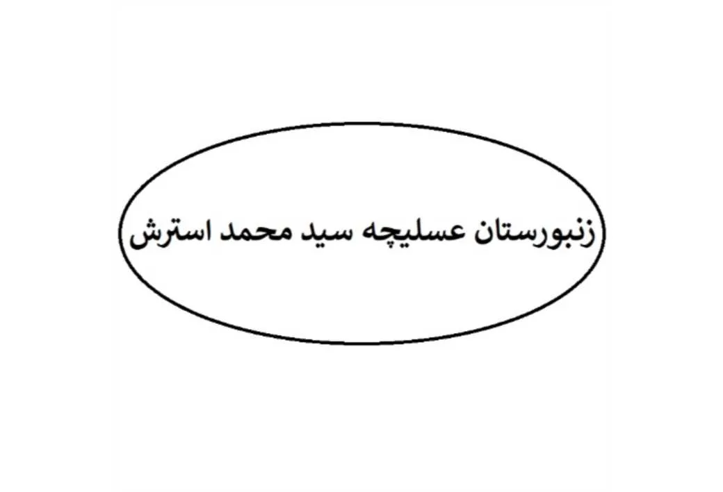 زنبورستان عسلیچه سید محمد استرش