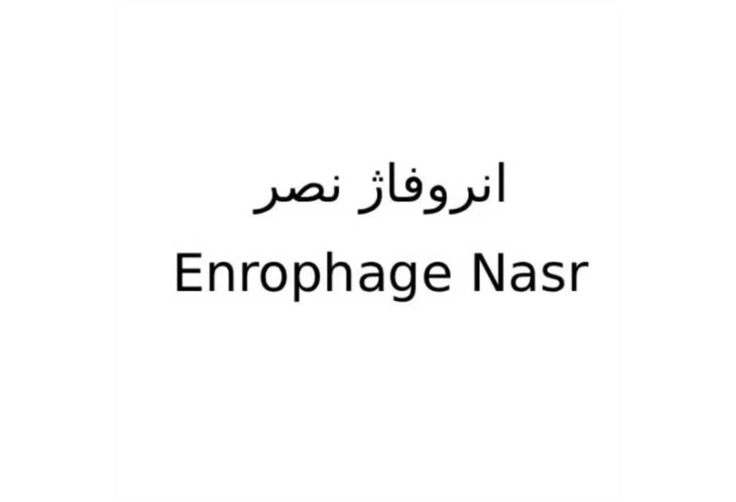 انروفاژ نصر Enrophage Nasr
