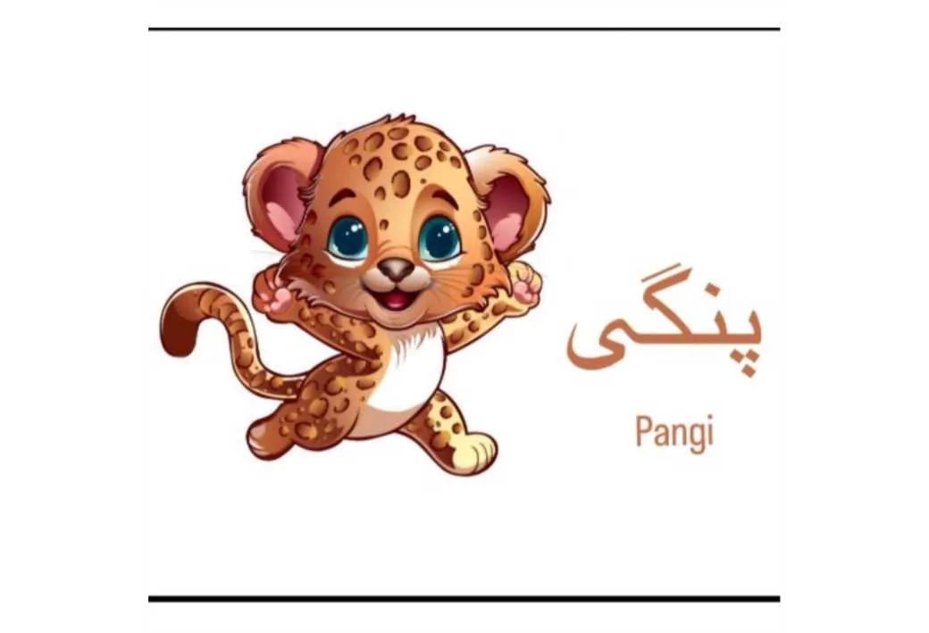 پنگی pangi