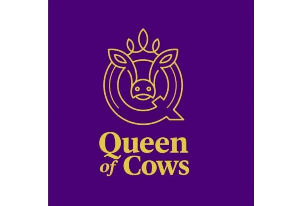 Queen of cows
