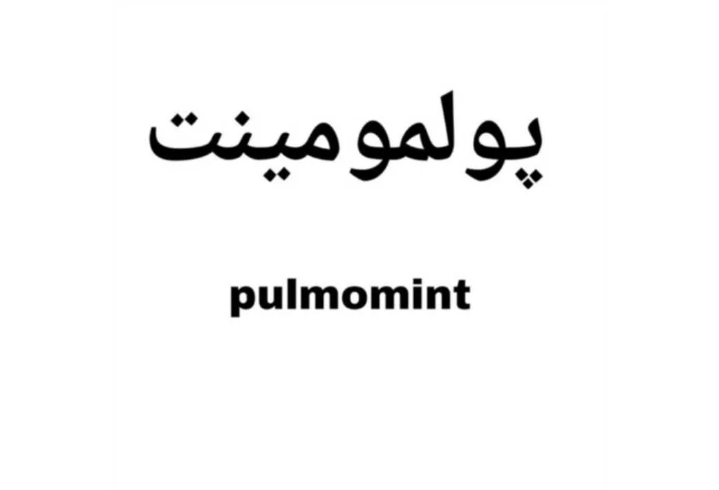 پولمومینت Pulmomint