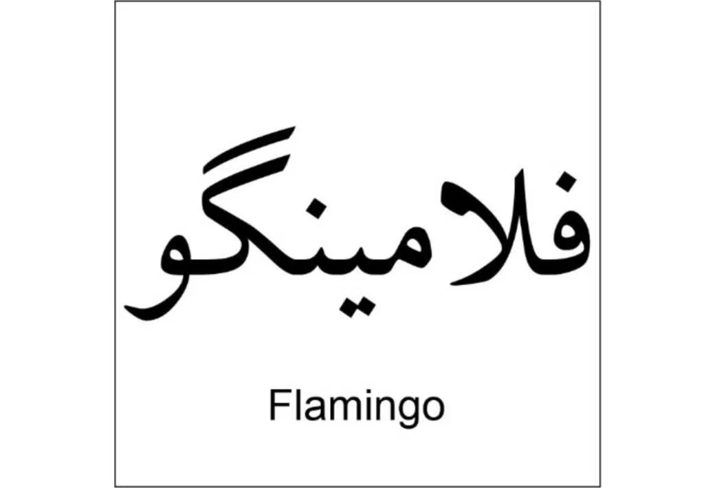 فلامینگو-Flamingo