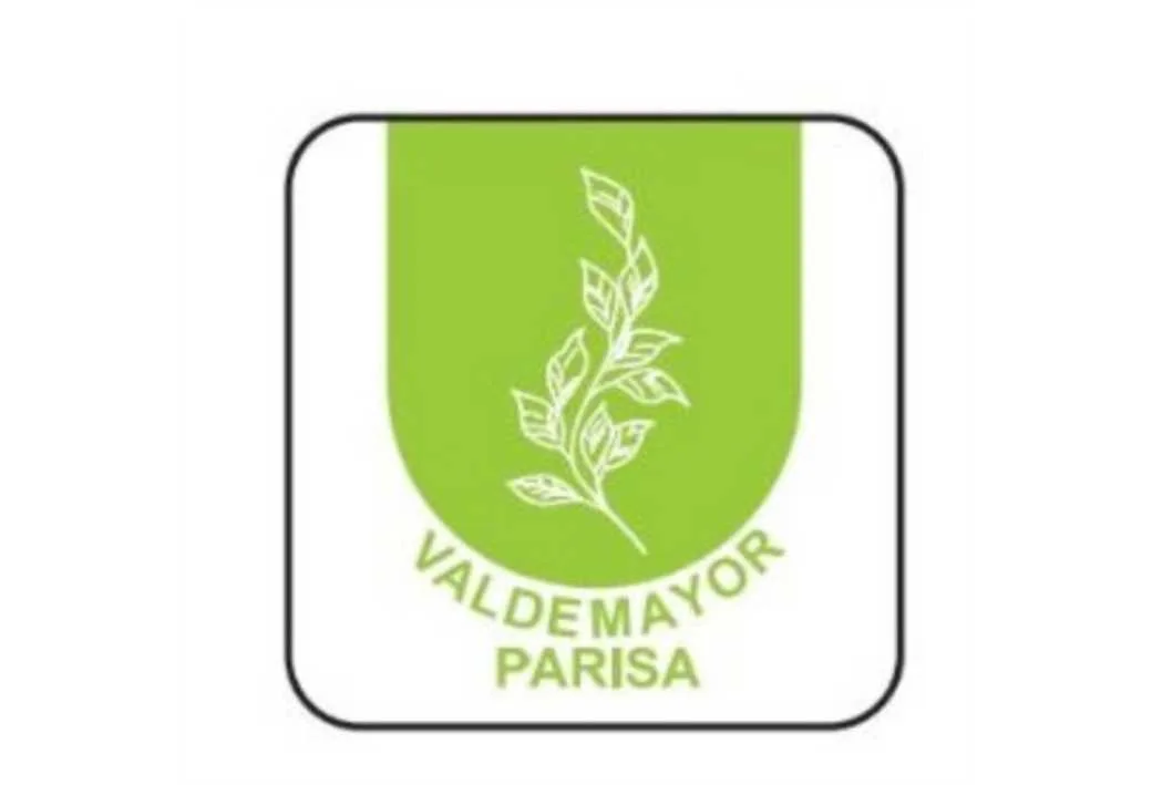 VALDEMAYOR PARISA