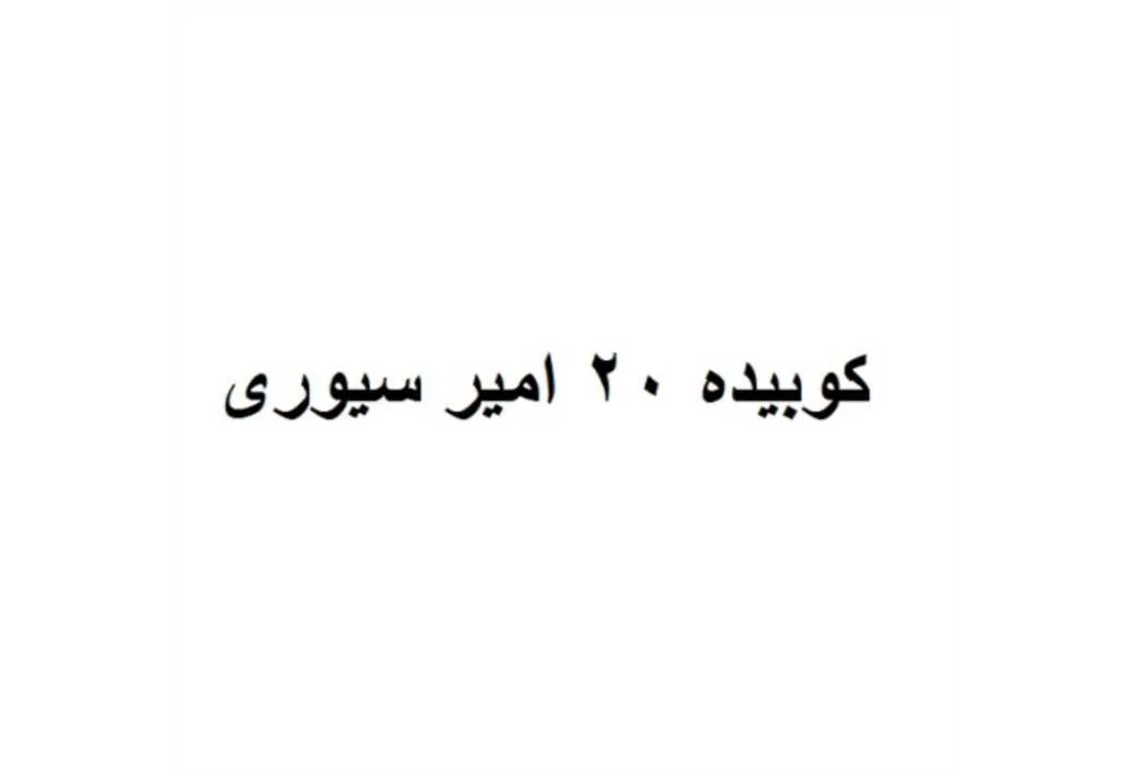 کوبیده 20 امیر سیوری