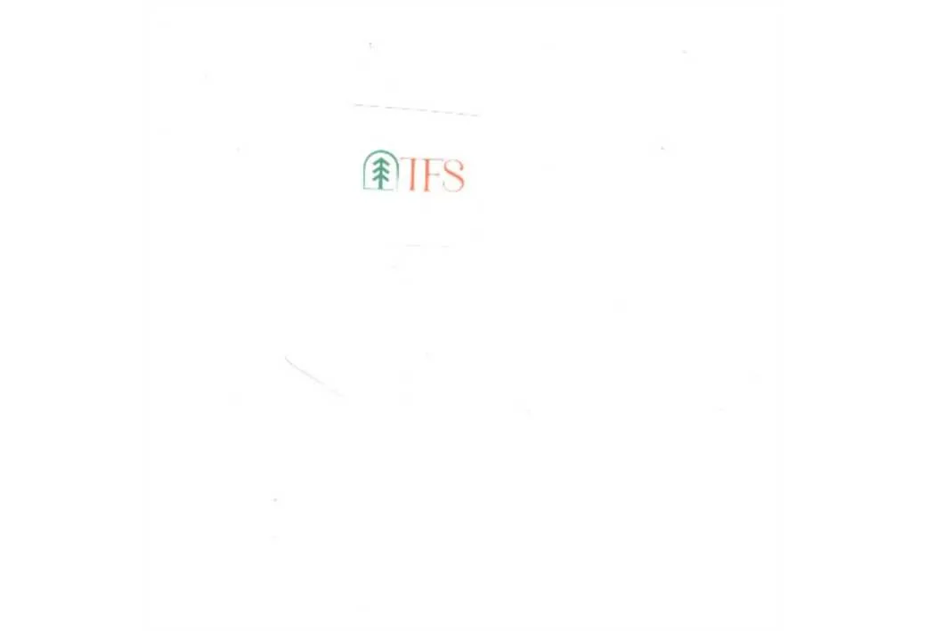 TFS