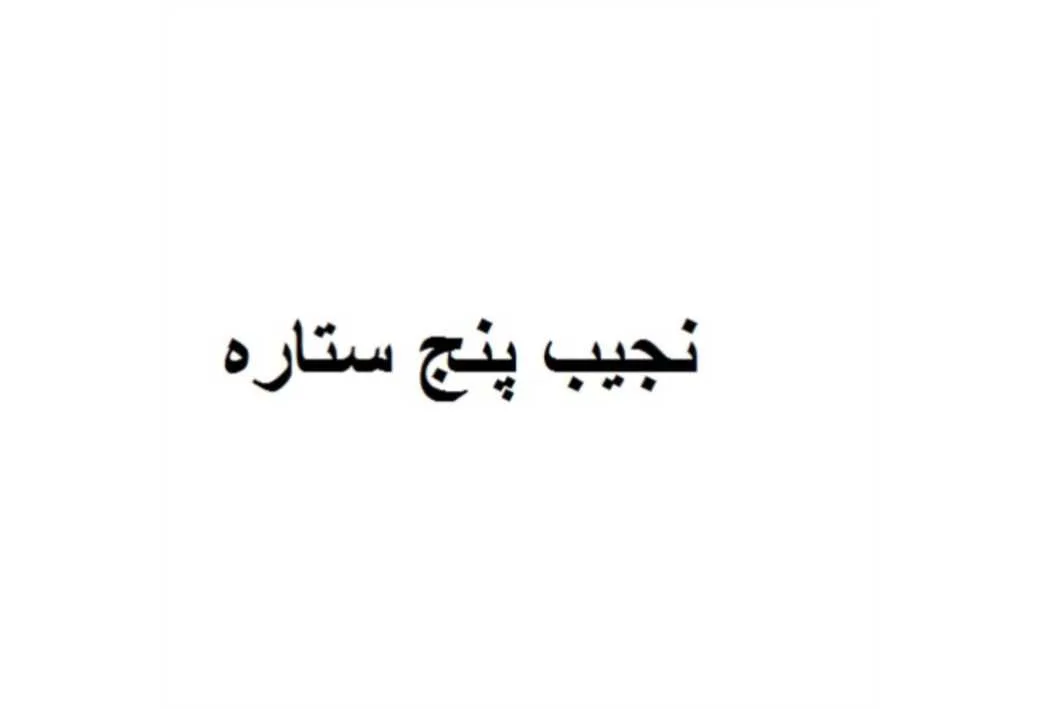 نجیب پنج ستاره