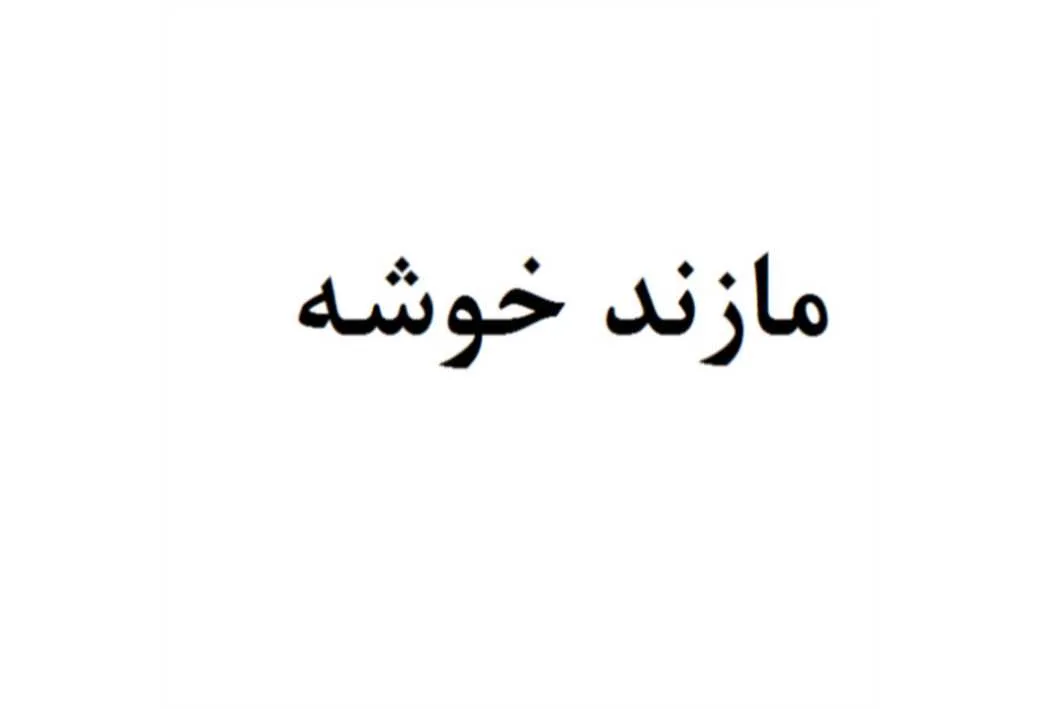 مازند خوشه