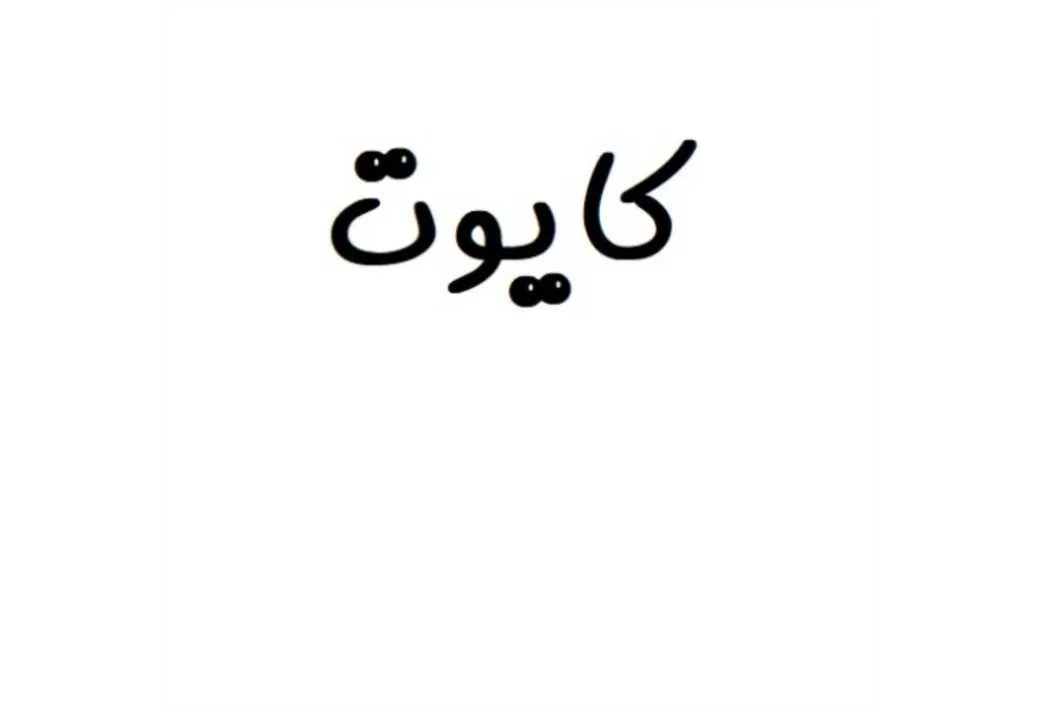 کایوت