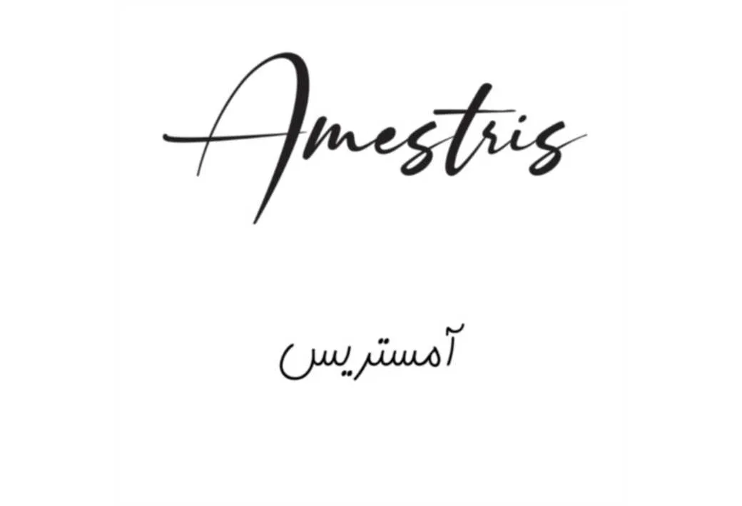 آمستریس AMESTRIS