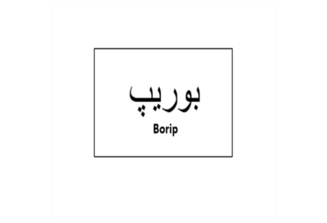 بوریپ Borip