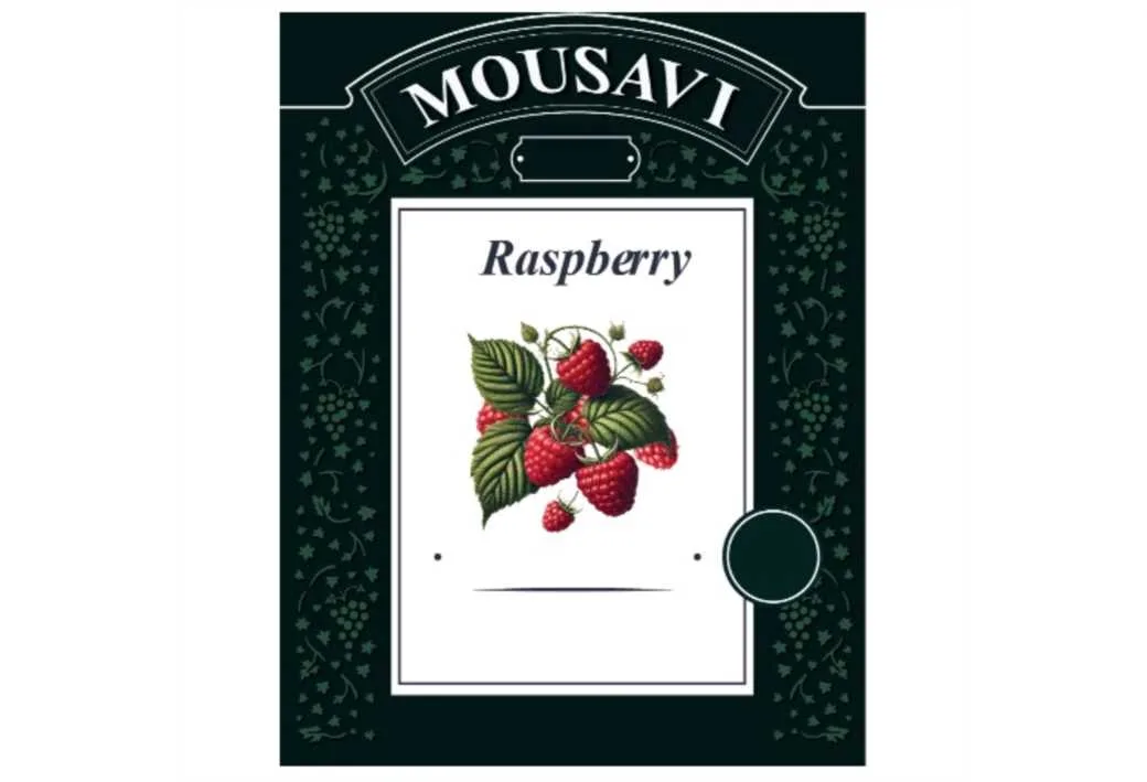 MOUSAVI Raspberry