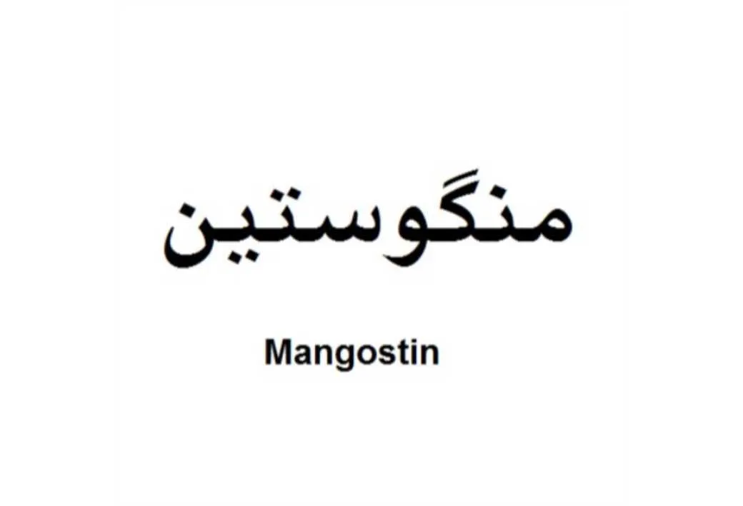 منگوستینMangostin