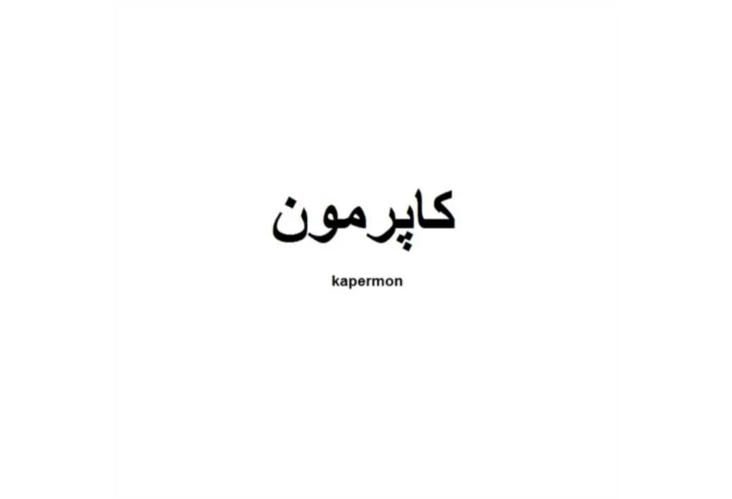 کاپرمون kapermon