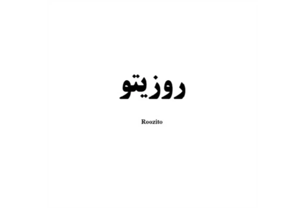 روزیتو Roozito