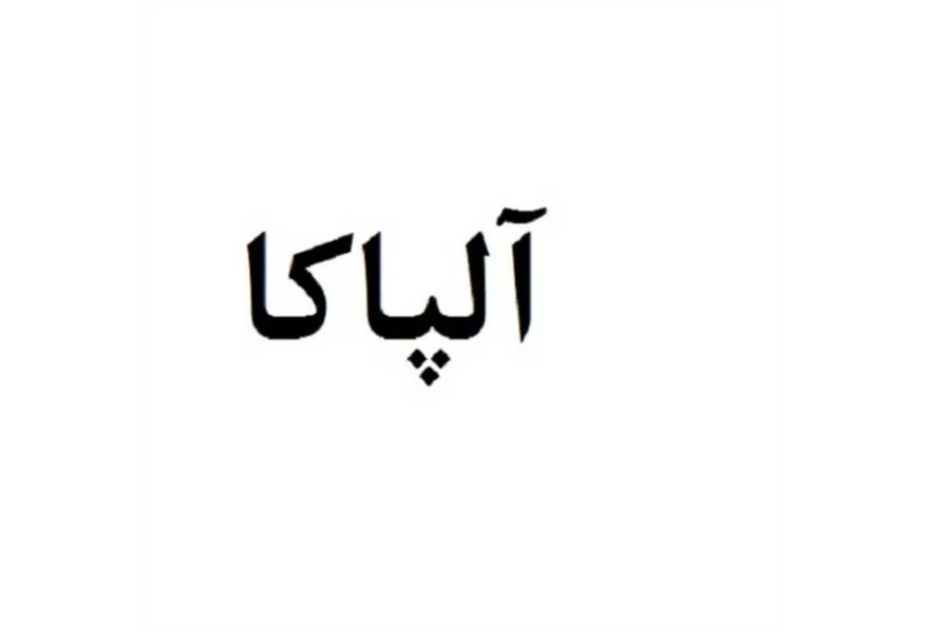 آلپاکا