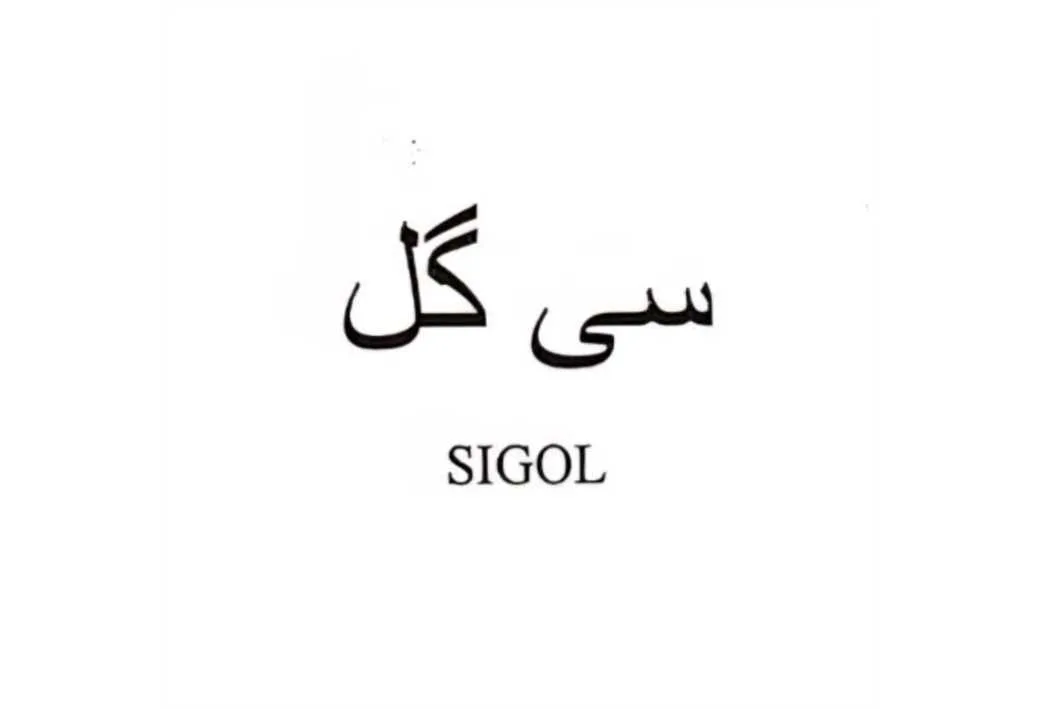 سی گل SIGOL