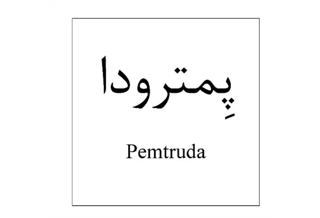 پمترودا Pemtruda