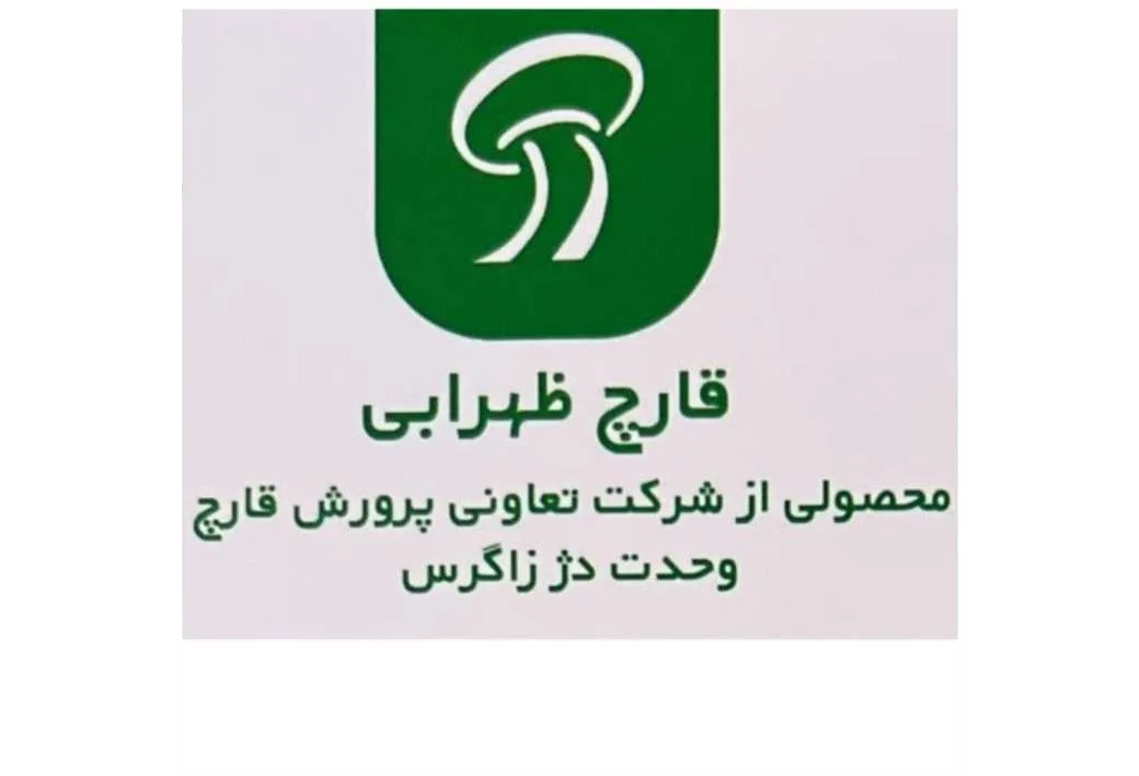 قارچ ظهرابی محصولی از شرکت تعاونی پرورش قارچ وحدت دژ زاگرس