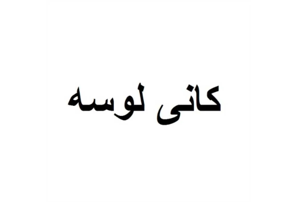 کانی لوسه