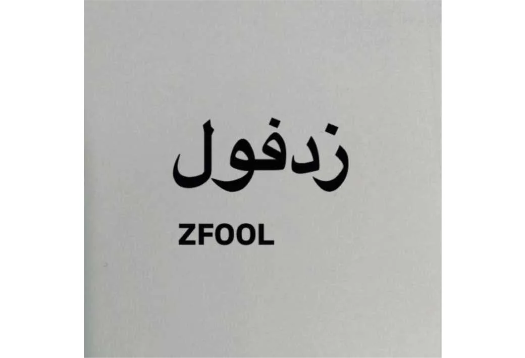 زد فول ZFOOL