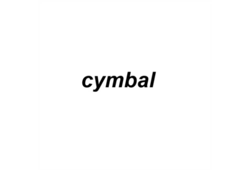 Cymbal