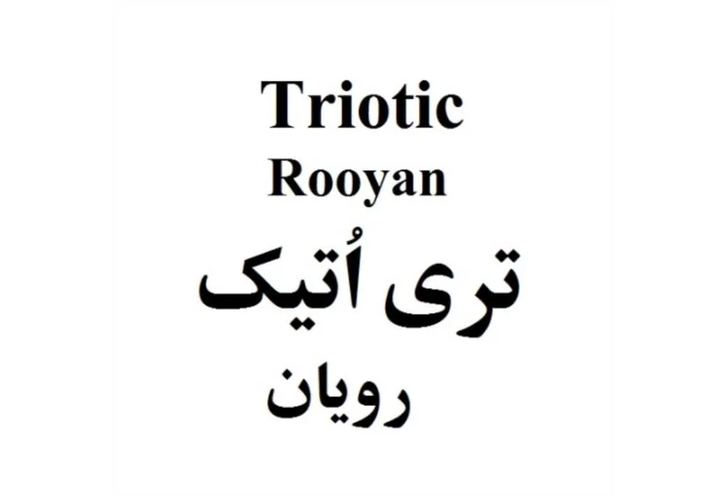 Triotic Rooyan تری اتیک رویان