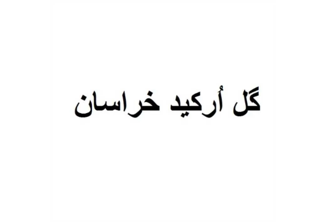 گل ارکید خراسان