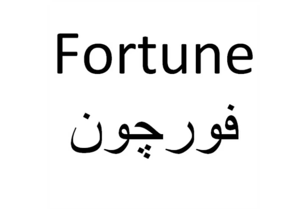 fortune فورچون