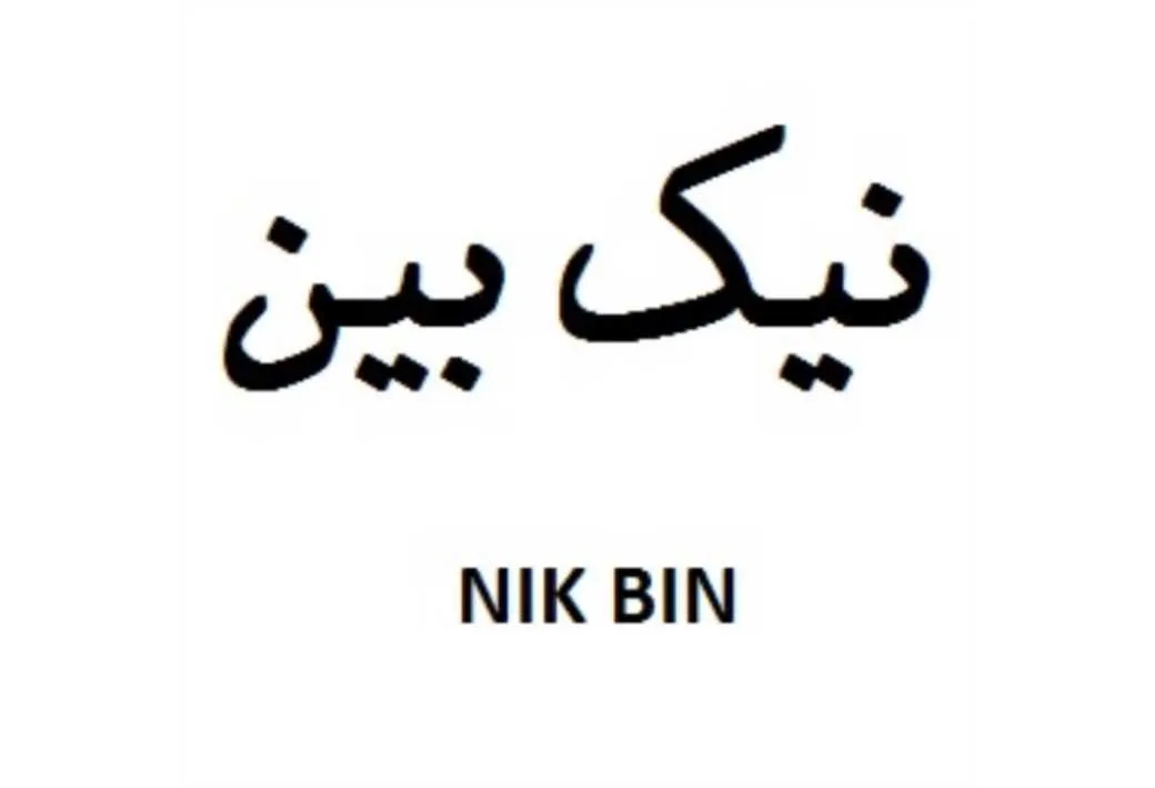 نیک بینNIK BIN