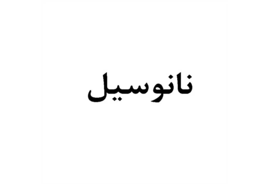 نانوسیل