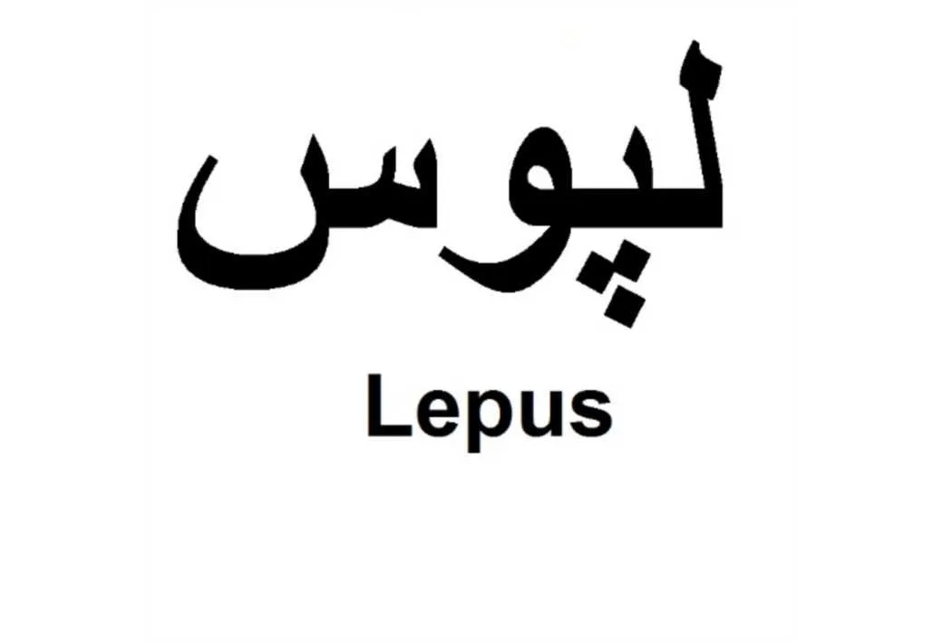 لپوس Lepus