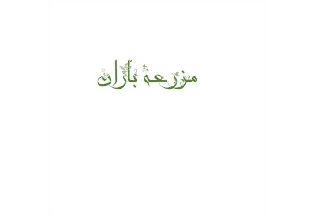 مزرعه باران