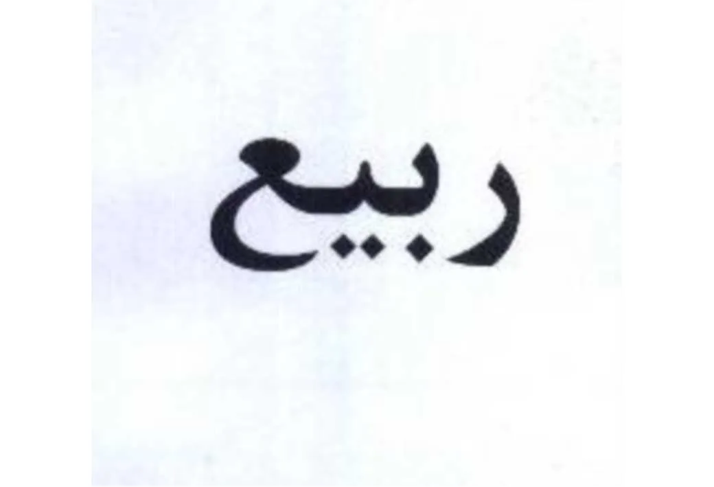 ربیع